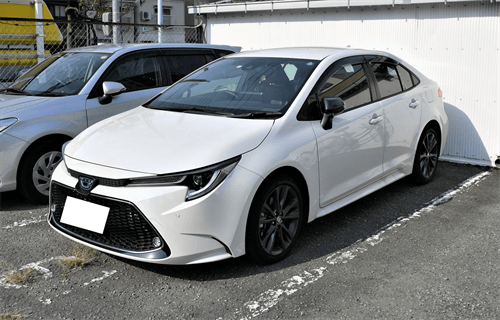 �J���[����